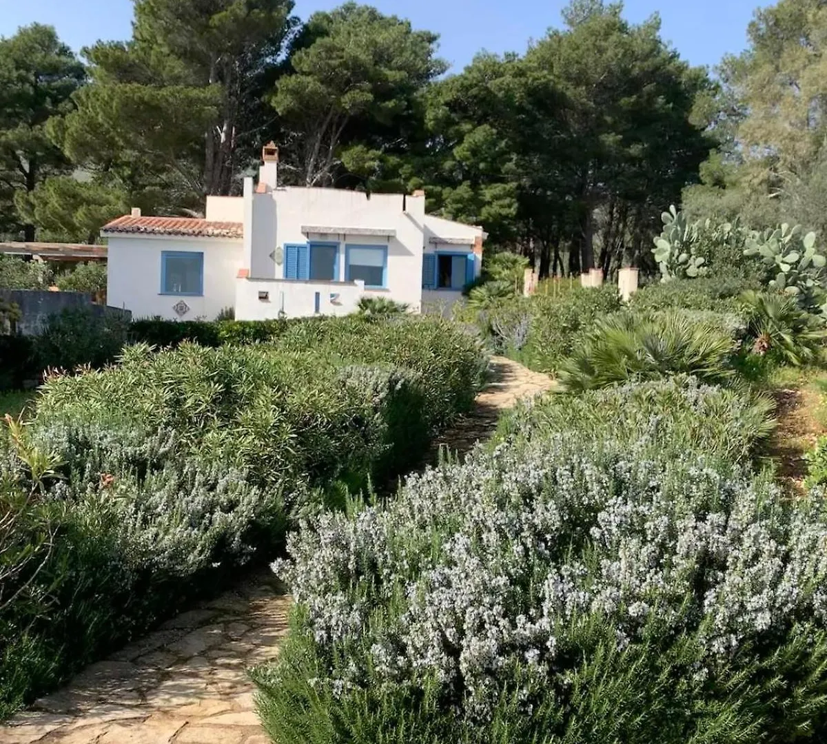 Casa Di Cri Villa San Vito Lo Capo Italy